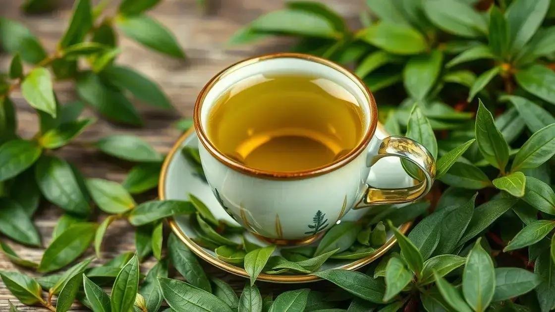 Green Tea for Weight Loss: Science-Backed Benefits or Just Hype?