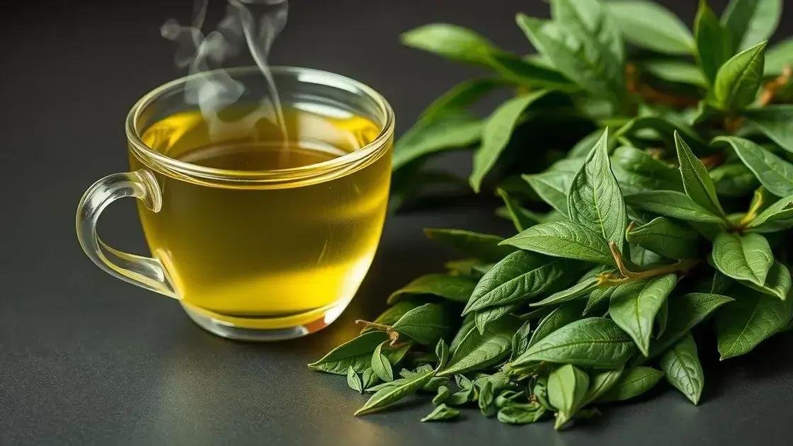 What is the Green Tea Weight Loss Method? Does it Actually Work?