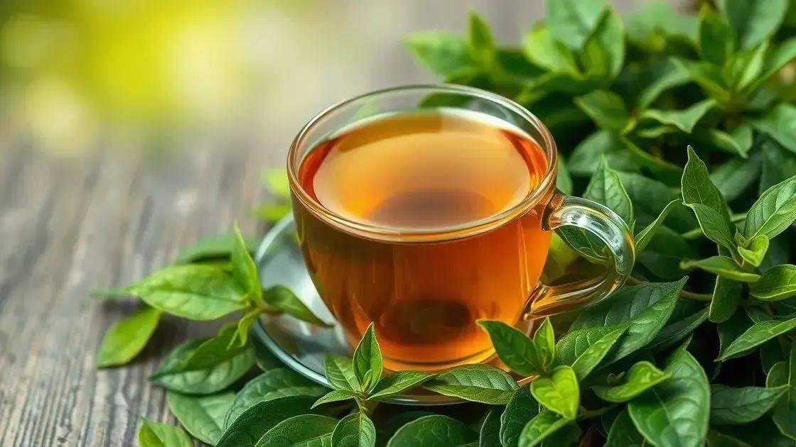The Truth Behind the Green Tea Trend for Fat Loss