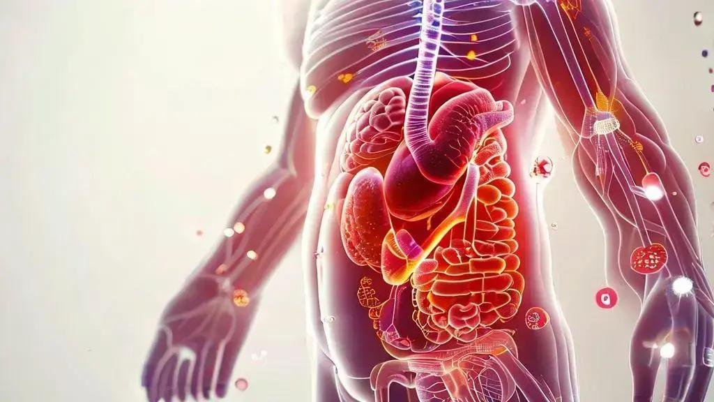 effects of prolonged fat storage on health